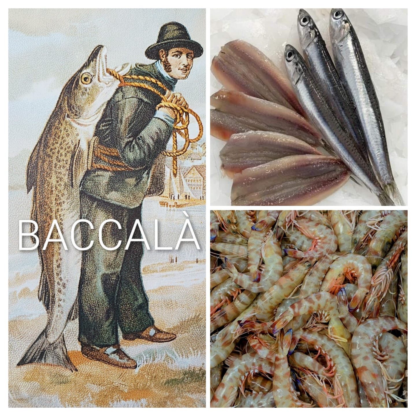 Collage News con Baccalà